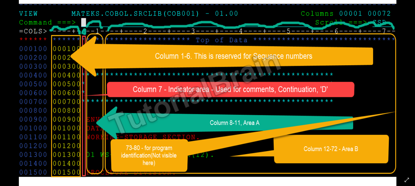 COBOL Coding Rules — TutorialBrain