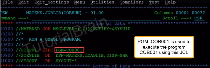 PGM Parameter in JCL