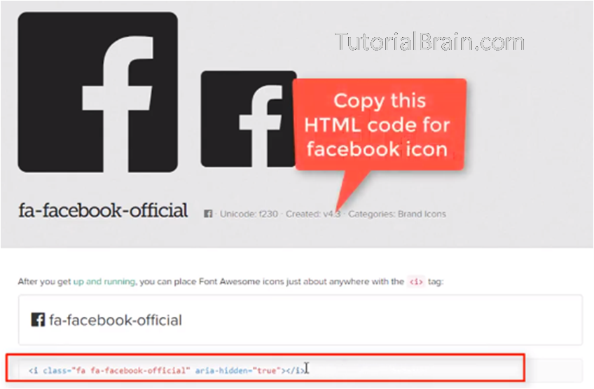 facebook code