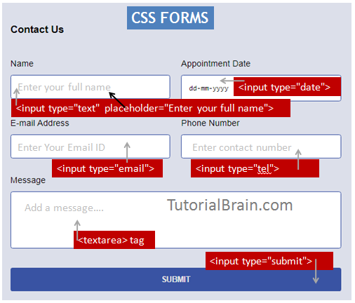 CSS Forms