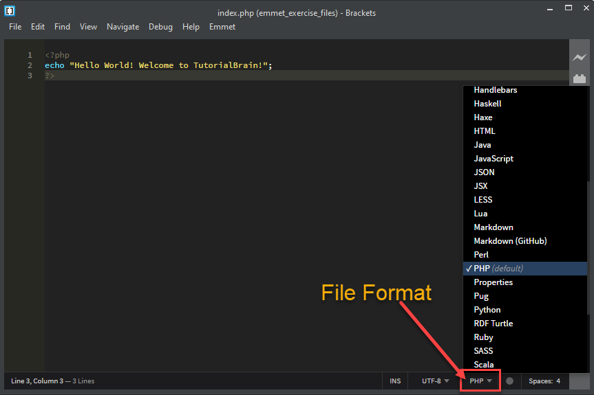 Brackets File Format Icon